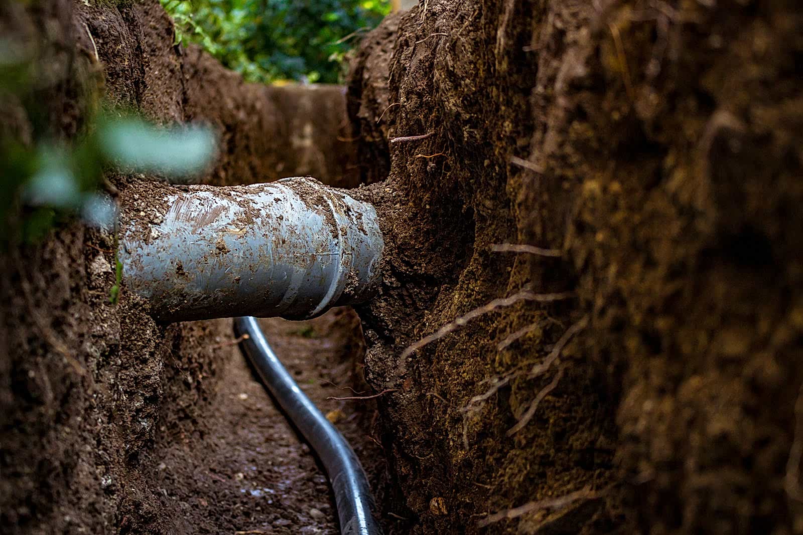 Drainage Image